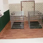 El Cartero *